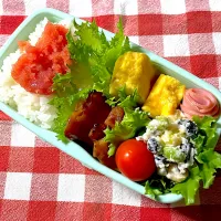 高一女子お弁当😋🍴🍱♬*| しげっちさん