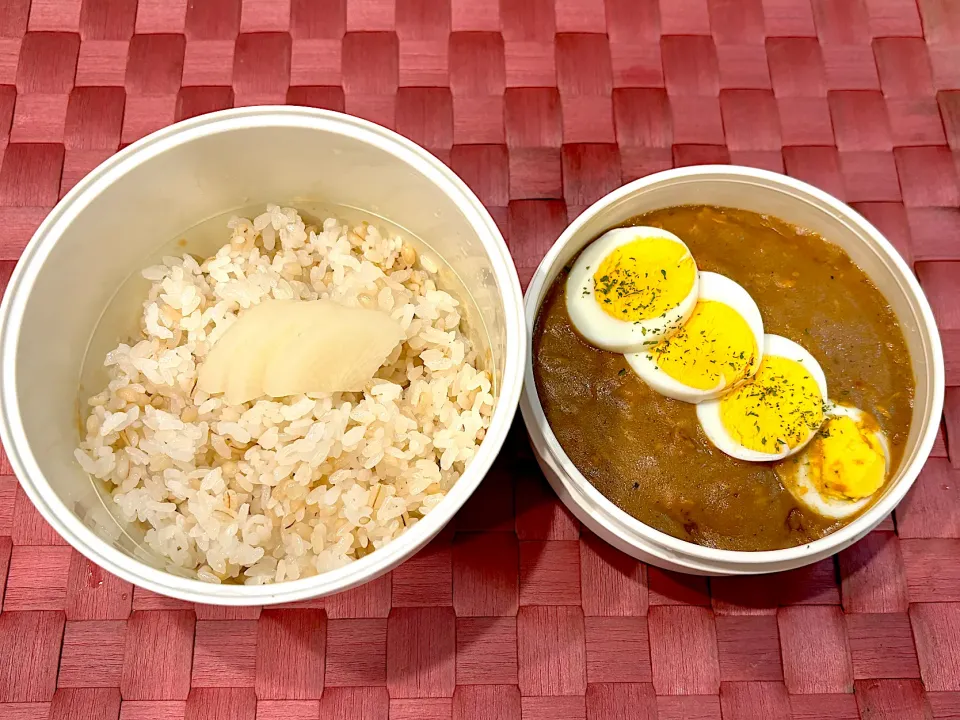 中学生息子のお弁当🍱 カレーライス弁当🍱🍛|Snow10さん