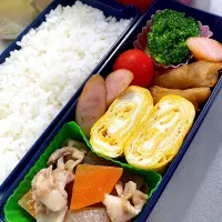 今日のお弁当🍱|＊C＊さん