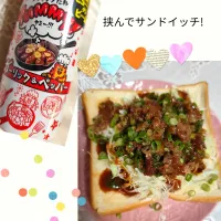 甘辛味牛肉とカットネギ、カットキャベツ、yummy！サンド| m.rafuさん