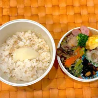 中学生息子のお弁当🍱 焼売弁当🍱|Snow10さん