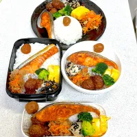 2024年11月19日お弁当🍱|もぐぷーさん