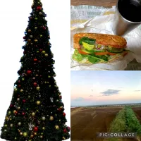 🌇🥪🎄|🍁さん