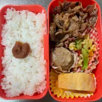 プルコギ弁当|あおのりさん