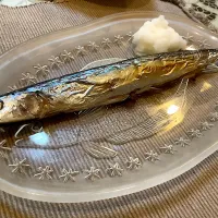 今年はお世話になりました『秋刀魚』さん😋| アライさんさん