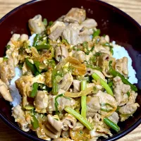 ☆ねぎ味噌にんにくホルモン丼|まぁたんさん