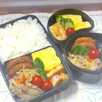 塩焼きそば＆お肉屋さんのコロッケ弁当|アッキーさん