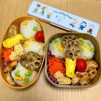 2024.11.19  お弁当|もっさんさん