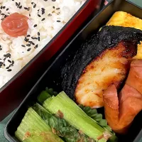 お弁当2024.11.20