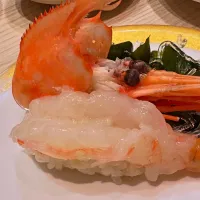 牡丹海老🦐| buhizouさん