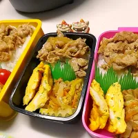 夫弁当､娘弁当､私弁当|みどりさん