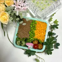 11/21❤︎主人の三色そぼろ弁当🌱✨

＊ 鶏そぼろ
＊ たまごそぼろ
＊ 枝豆🫛
＊ つくね
＊ ちくわので磯辺揚げ
＊ ほうれん草の胡麻和え|Makinsさん