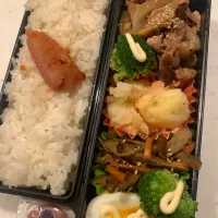 11/21 高校生息子のお弁当|ちととんさん