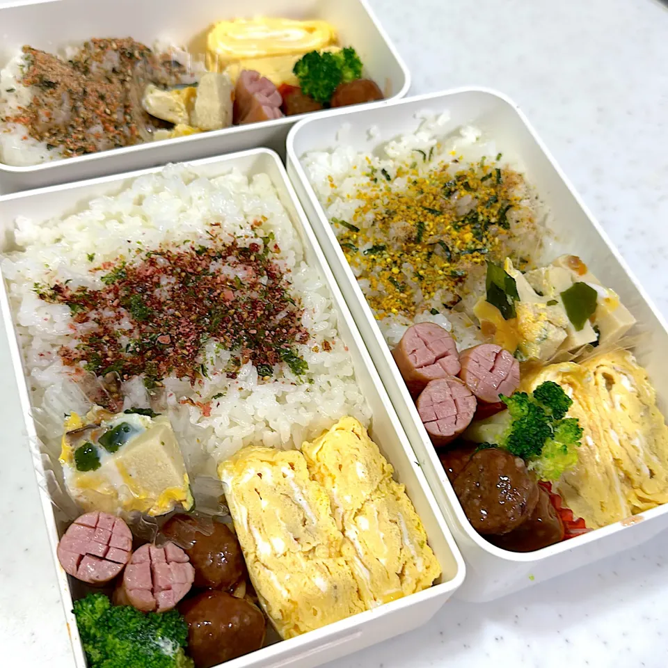 今日のお弁当|HITOMInさん