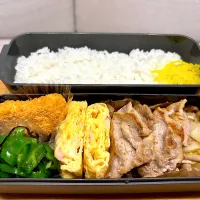 息子のお弁当〈11月〉|かおりさん