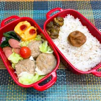 今日の旦那さんのお弁当|naoさん