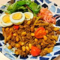 2024 1113　豆とごぼうのスパイスキーマ゙カレー　アチャール　サラダ　ゆで卵|いもこ。さん