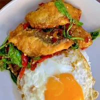 Pad Kra Pao Salmon Fried Egg 🩷🩷|Sherlynさん