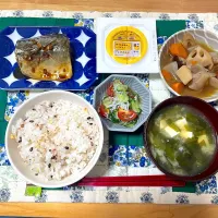 サバの味噌煮/筑前煮|ゆさんさん