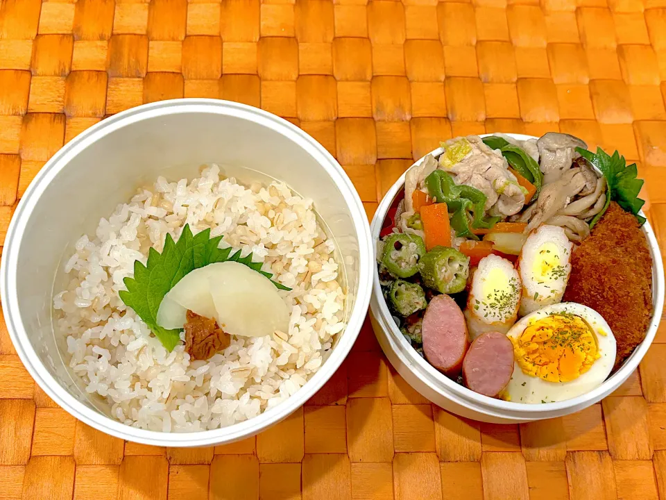 中学生息子のお弁当🍱 八宝菜とコロッケ弁当🍱|Snow10さん