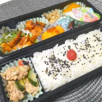 11月22日お弁当|鈴木さとしさん