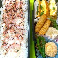 息子のお弁当🌈11/22(金)|KCoさん