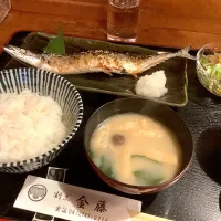 まだあった🐟🤭『秋刀魚定食』| アライさんさん