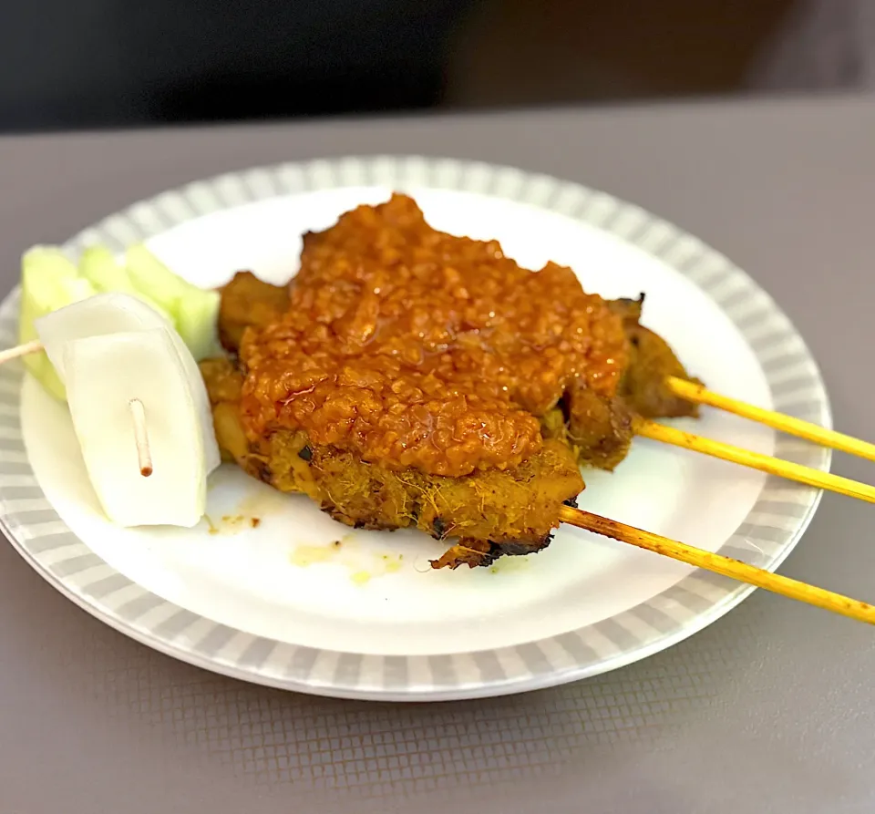 SQ機内食のチキンサテ|流線形さん