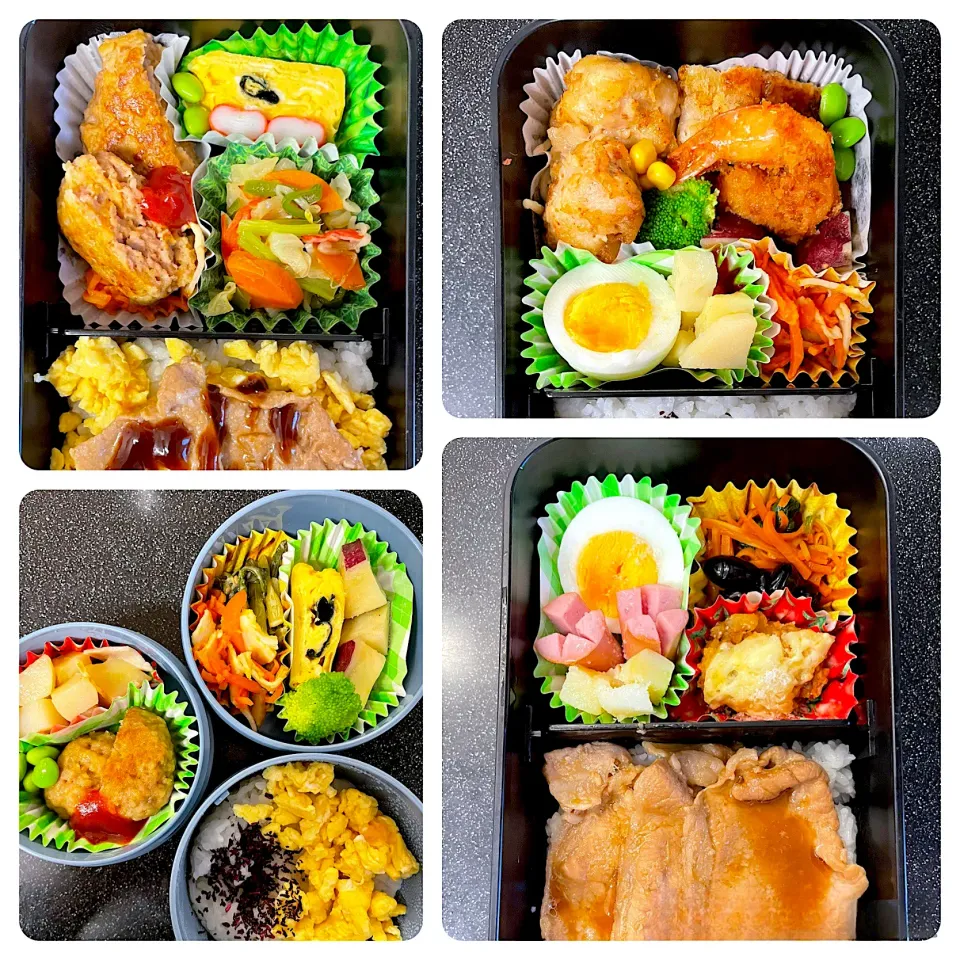 今週のお弁当|パパ手料理さん