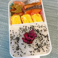 今日のお弁当 2024.11.23(Sat)| *seiko*さん