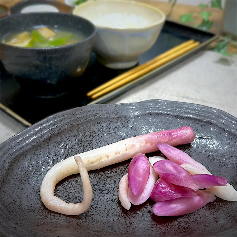 日野菜のお漬物で朝ごはん！|くまちゃんさん