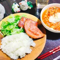 ごはん、ハムステーキ、レタスと水菜のサラダ、鶏肉とトマトの醤油シチュー|サトリさん