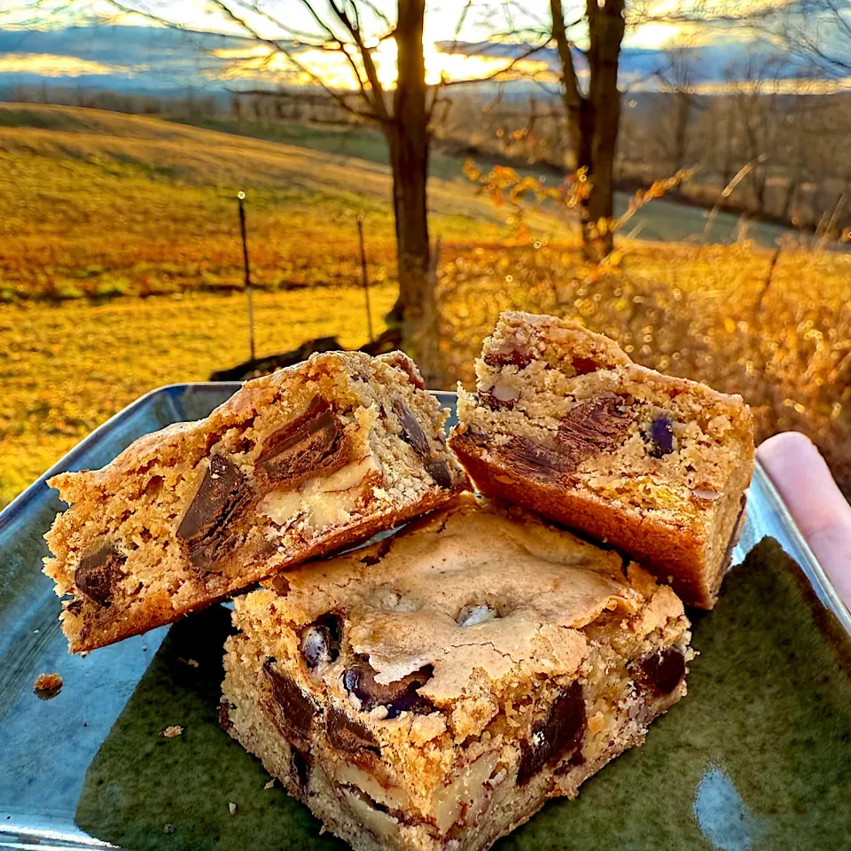 Pecan chocolate chunk bar cookies|Dean M Rogersさん