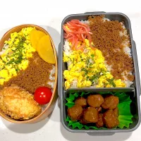 娘と息子のお弁当🍱|megさん