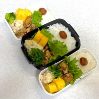 2024年11月25日お弁当🍱|もぐぷーさん