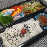 11月25日お弁当| 鈴木さとしさん