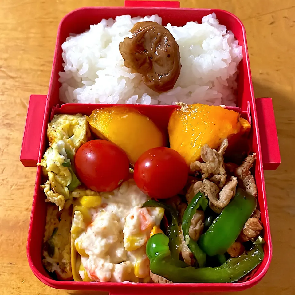 オイスターソース炒めとポテトサラダ弁当|ももちゃんのママさん