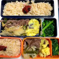 今日のお弁当|Victoryageさん