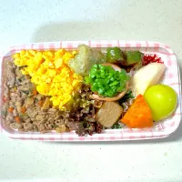 2024年11月26日 娘のお弁当|みもざさん