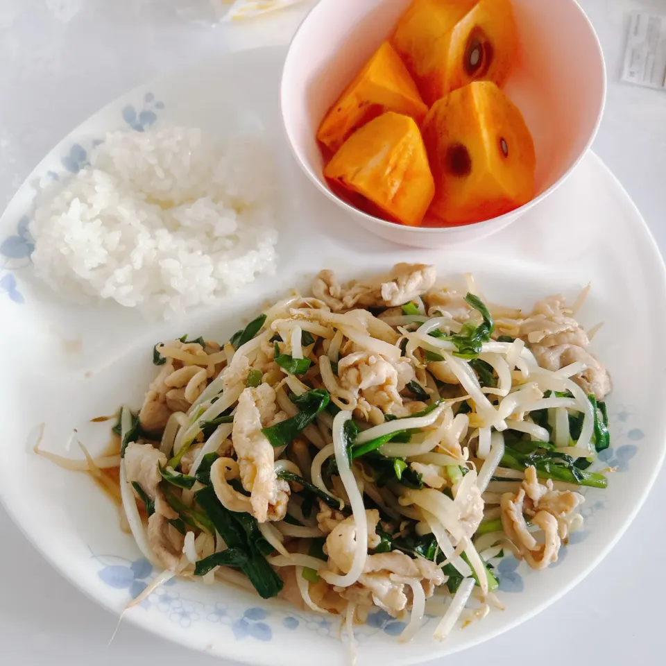 お昼ご飯|まめさん