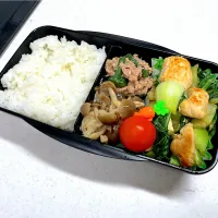 11/26 旦那弁当⁂鶏胸肉と青梗菜の塩炒め弁当|ゆさん