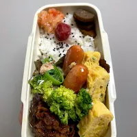 長女弁当🍱|しーちゃんさん