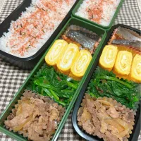 今日のお弁当 2024.11.27(Wed)|*seiko*さん