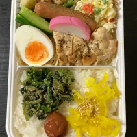 今日のお弁当🍱マルチスパイスでチキン焼き|まちゃさん