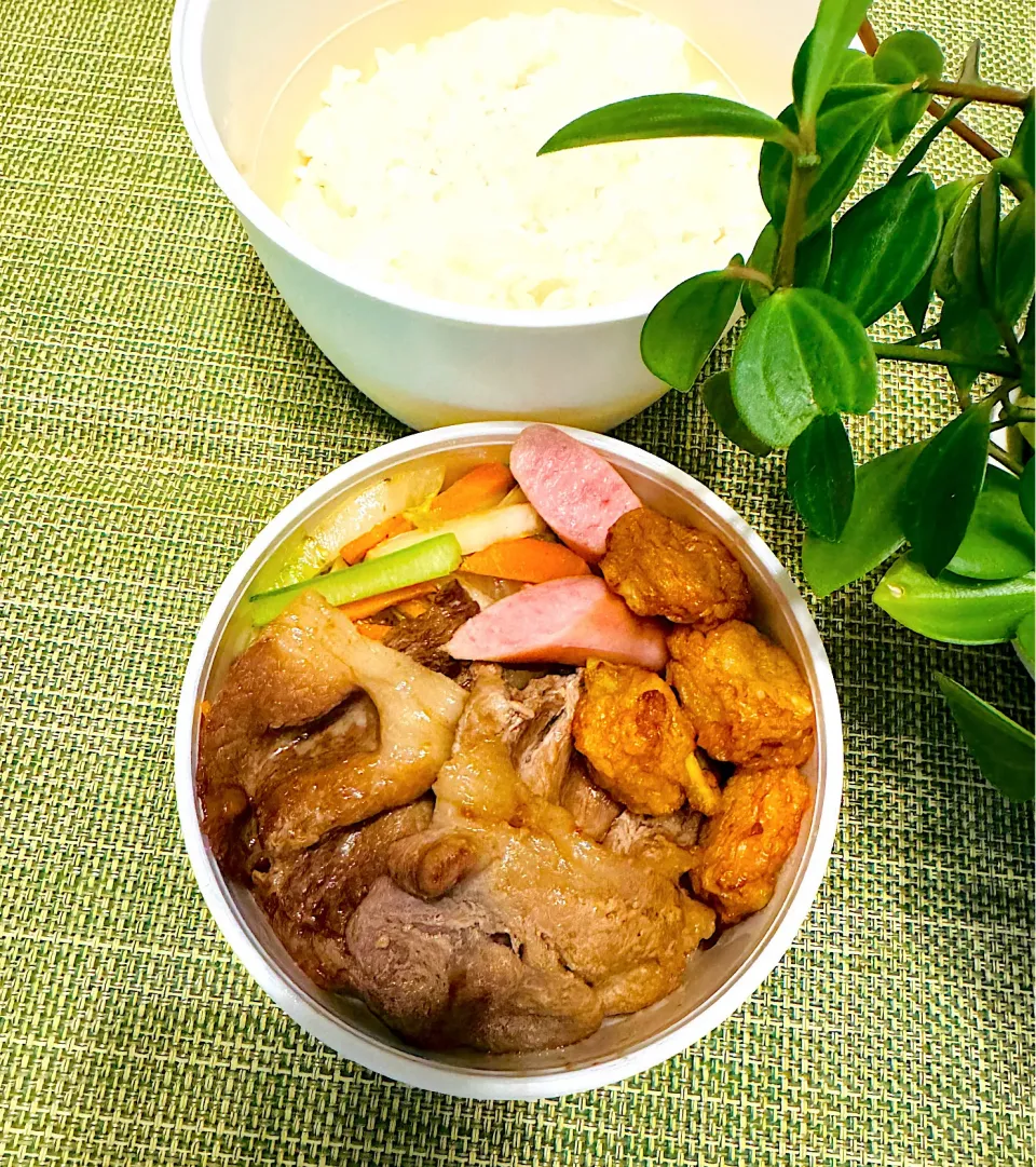 生姜焼きのお弁当|＊ayabianさん