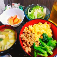 三色丼、鶏肉とじゃがいもと小松菜のコンソメスープ、ミックス野菜サラダ、さつまいもの甘煮|サトリさん