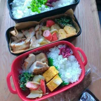 夫と娘のお弁当|みわさん