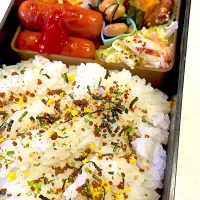 おっさん弁当　ソーセージ　卵焼き　握力コールスロー板東英二入り　🎃🍠　ひじき| ひげおやじさん