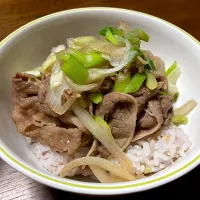 焼き肉丼| はっちぃさん