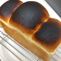 頭焦げ山型パン🍞焼き上がり|masaさん